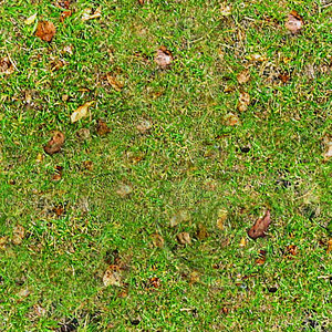 grass_0001_512.jpg