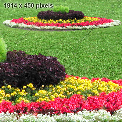 Texture Photoshop flower flowerbed flowers