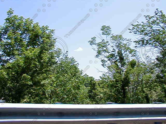  https://static.turbosquid.com/Preview/2014/08/01__14_23_12/scrapes2160.JPG8d46a8e2-090b-4e7f-b482-079d1c8af534Original.jpg