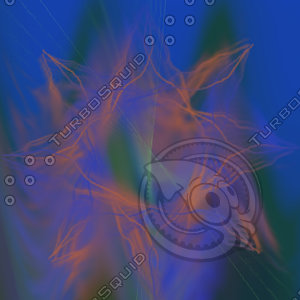 stars.jpg