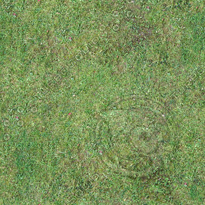 Low resolution Grass ground 01