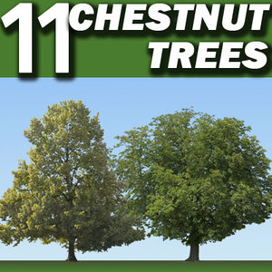 11 Chestnut Trees Collection  ----------------- High Resolution.psd