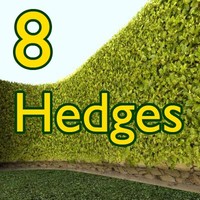 8 Hedges Collection/Architect Visualisation  High Resolution