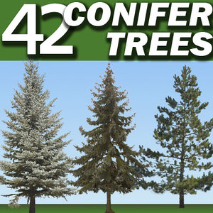 42 Conifer Trees Collection ------------------ High Resolution