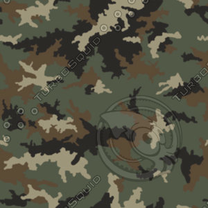 US_BDU_Woodland_BMP
