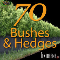 Bushes_Texturama