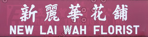 CHSN004.JPG