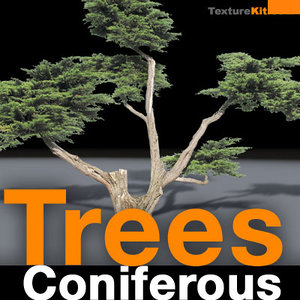 Trees Coniferous Collection