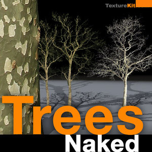 Trees Naked Collection