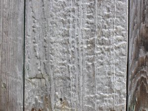Old Wood Worn