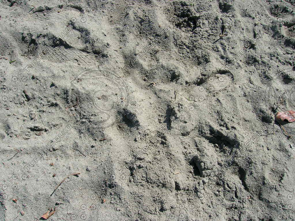 Texture JPEG sand beach photo