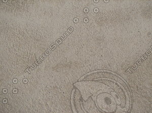 floor_04.jpg