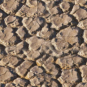 ground_0001_512.jpg