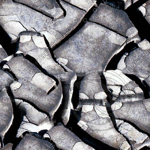 ground_0002_512.jpg