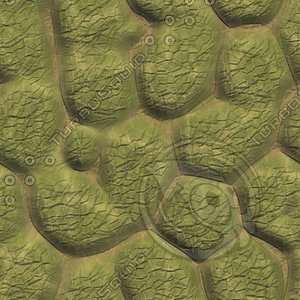toad02.jpg