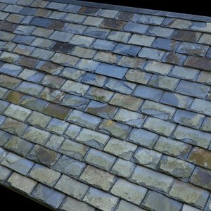 Blue Old Slates Roof  - High Resolution