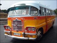 Maltese vintage bus - Bedford