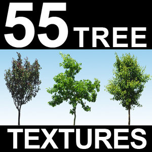 55 Tree Textures