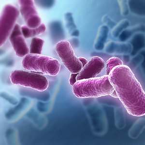 Bacteria Scene