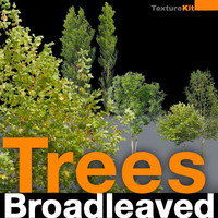 Trees Broadleaved Collection