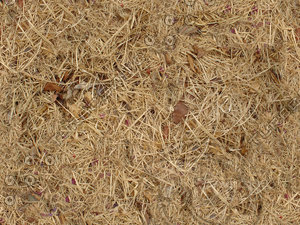 Dead_Grass_Earth_Tileable.jpg