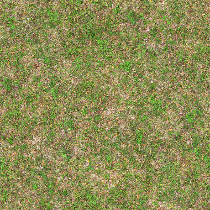 Texture JPEG ground grass seamless