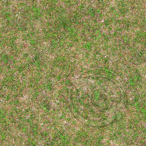 Medium resolution Grass ground 03