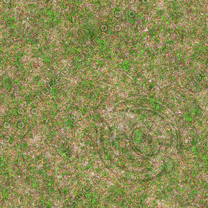 High resolution Grass ground 03