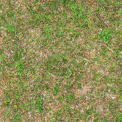 Texture JPEG ground grass seamless