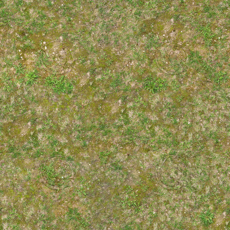  https://static.turbosquid.com/Preview/2014/08/01__15_05_14/Ground_grass02_1024.jpg16673014-295a-4fa9-9136-b700d017290dOriginal.jpg