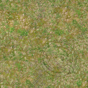 Medium resolution Grass ground 02
