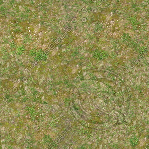 High resolution Grass ground 02