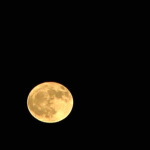 Moon / Lunar [03]