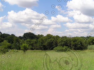 Daytime background