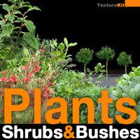 Plants Shrubs and Bushes Collection