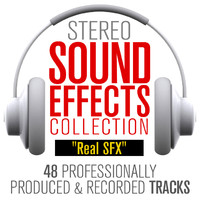 Real SFX Collection (48 TRACKS)
