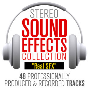 Real SFX Collection (48 TRACKS)