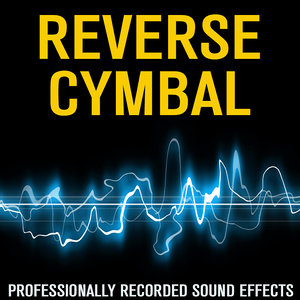 ReverseCYMBAL