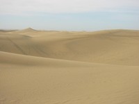 N2.JPG