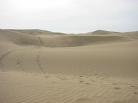 N5.JPG