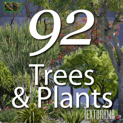  https://static.turbosquid.com/Preview/2014/08/01__15_05_14/TreeScene_ICON.jpg2007dc62-1743-43a7-a421-ef860e617b57Larger.jpg