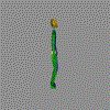 Walk_04_03_1.bip