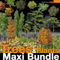Trees & Plants Maxi Bundle