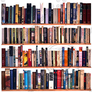 bookcase 2.jpg