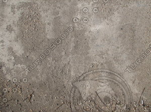 floor_03.jpg