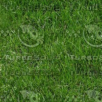 grass_002_2048x1365_tileable.jpg