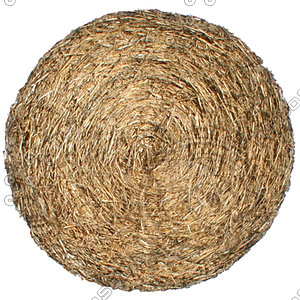 haystack 1b.jpg