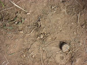 Rock sand