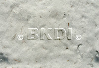 snow_forest.psd