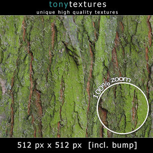 Bark Texture 007 - free Version